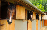 free Hatfield Chase stable construction quotes